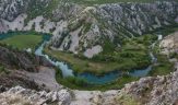 Parco naturale del velebit centro di endemismo