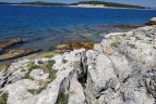 Un paradiso nascosto sulla terra parco nazionale di brioni