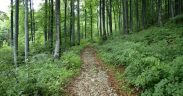 Parco naturale di ucka